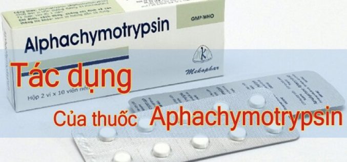 Alpha Chymotrypsin là thuốc gì?