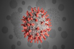 Virus gây bệnh Covid-19 không phải là sản phẩm từ phòng thí nghiệm