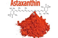 Chất chống oxy hóa astaxanthin là gì và có ở đâu?