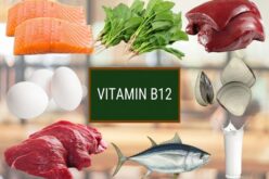 Những loại thực phẩm hàng đầu chứa nhiều vitamin B12