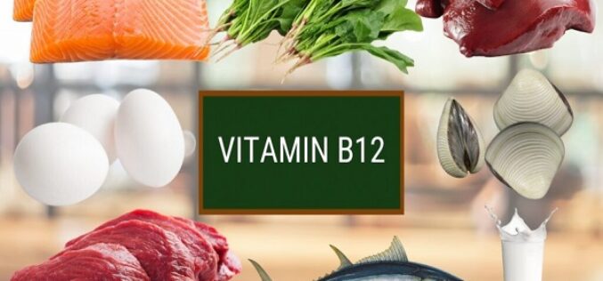Những loại thực phẩm hàng đầu chứa nhiều vitamin B12